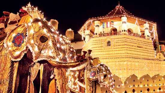 Kandy Esala Perahera set to dazzle once again Majestic Splendour Returns
