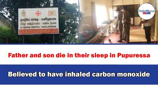 Father and son die in their sleep in Pupuressa ,Believed to have inhaled carbon monoxide