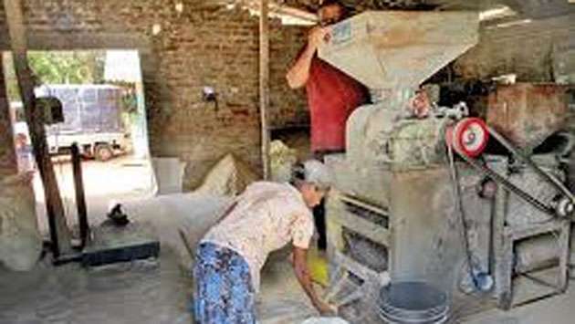 SME paddy millers, co-ops to get loans at 7% under Yala season credit scheme