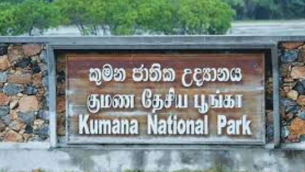 Tours to Kumana National Park suspended; access to Horton Plains blocked