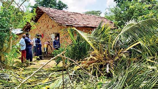 Wild Elephants destroy  village crops A team of officers from DWC sent to drive away the herd of jumbos