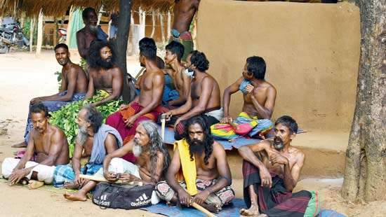 ‘World Indigenous People’s Day’ Intruding Vedda jungles in the guise of providing modern facilities