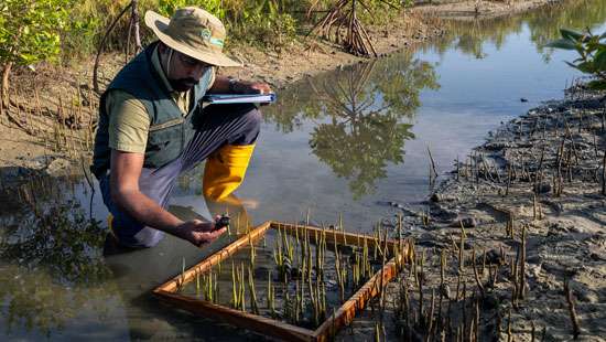 Sri Lanka recognized as one of the seven UN World Restoration Flagships