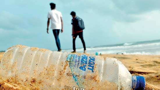Turning the tide on plastic through beach cleanups