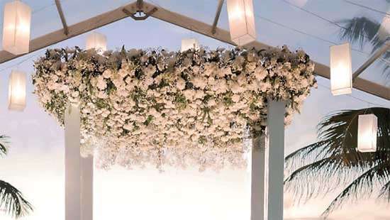 Citrus Waskaduwa and Cosmic by Citrus to feature at Wedding Show 2025