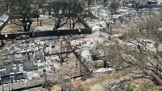 Maui wildfires deadliest US blaze in a century as toll hits 89