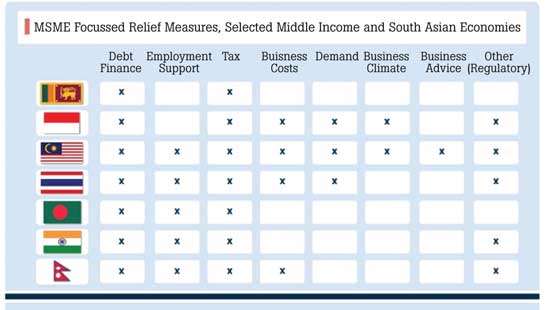 Protecting Sri Lankan MSMEs during pandemic: Need for innovative solutions