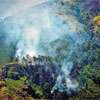Forest fire offenders to face legal action: Department