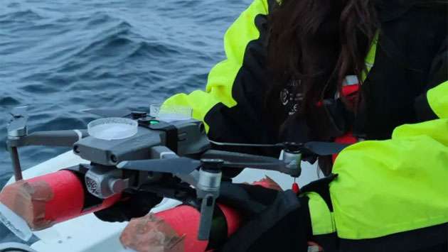 Drones detect deadly virus in Arctic whales’ breath
