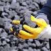 FSP challenges legality of coal tenders, plans court action