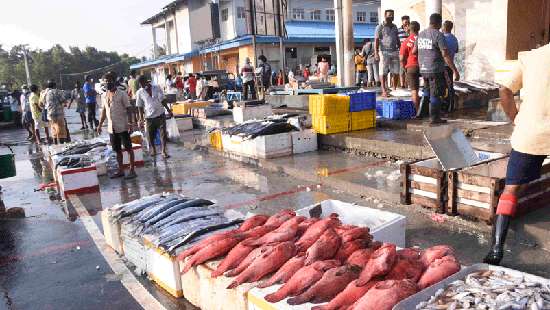 Peliyagoda Fish Market re-opens