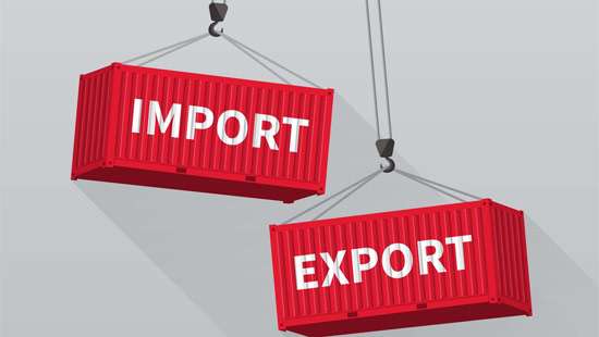 Fin. Ministry to introduce new HS codes for 142 import, export varieties