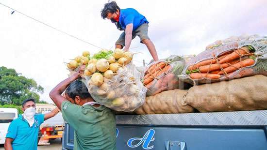 Unloading vegetables