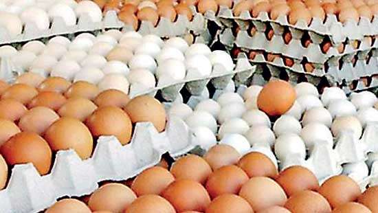 Local producers slam govt.’s decision to resume egg imports