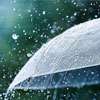 Showers likely in Western and hill country areas