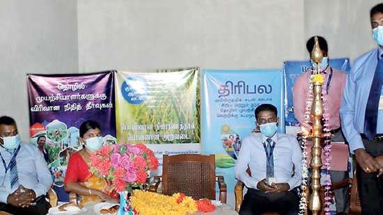 ComBank supports traditional rice producers in Kokkadichcholai