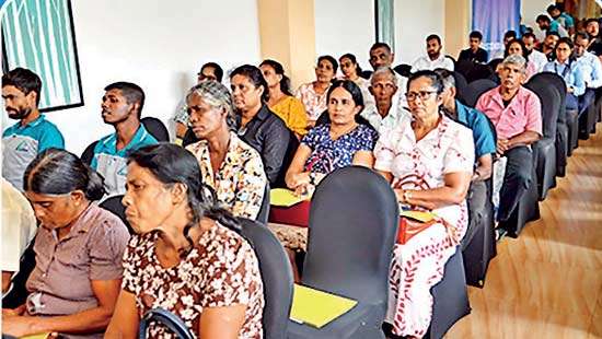 SDB bank strengthens dairy sector development