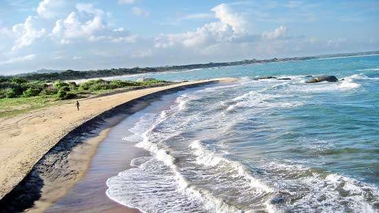 Proposed Gonahaduwa  Forest Reserve issue: Natural  SAND dune  forest areas grabbed by encroachers