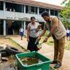Over 4o% of schools found with Dengue breeding sites