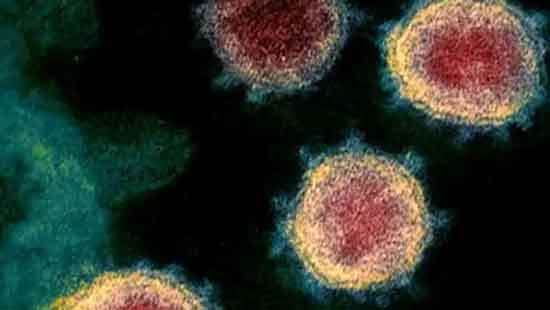 ’New variant’ of coronavirus identified - UK Health Secretary