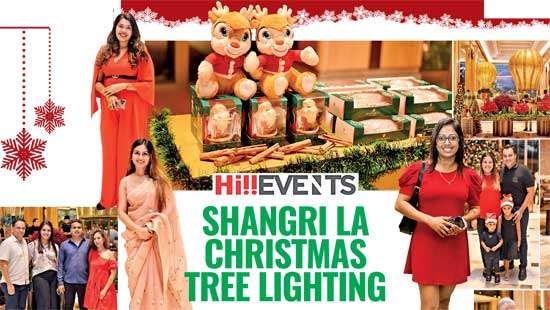 SHANGRI LA CHRISTMAS TREE LIGHTING