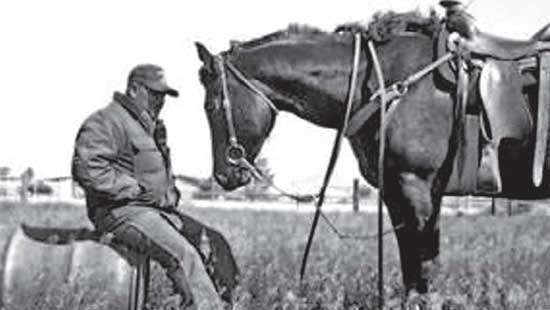 Ty Nitti The Trailblazing Sri Lankan Cowboy...