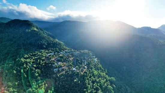 2025 marks the Year of Aviyana