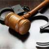 Aura Lanka Chairman granted bail