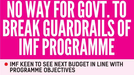 No way for Govt. to break guardrails of IMF programme