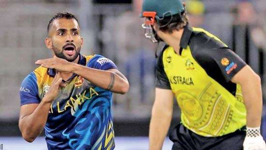 Cricketer granted bail after objection to paternity test