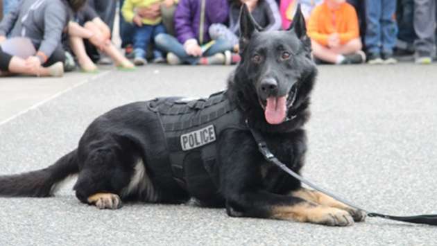Police Canine Division on standby to assist school-level drug inspections