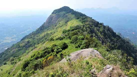 Danish woman missing since four days while hiking Alagalla mountain