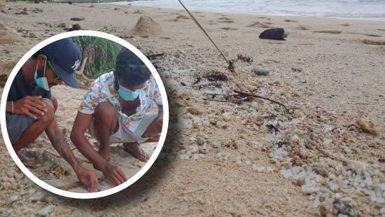 Wreckage of  X-Press Pearl ship Waste materials washed ashore in Polhena