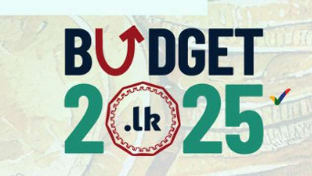 Budget bodes well for economic improvement in the long run: Economist