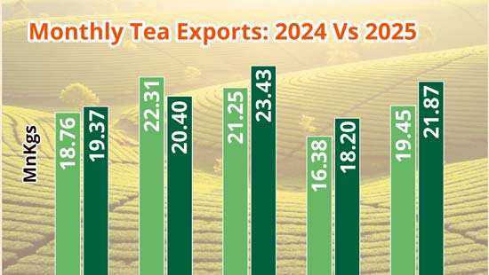 May tea exports up 12.4% YoY