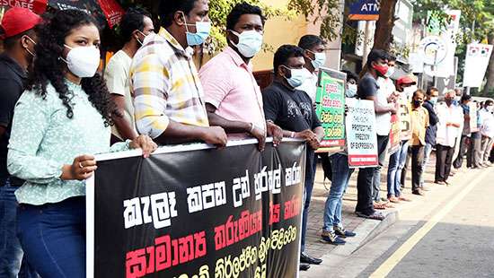 Silent protest against deforestation