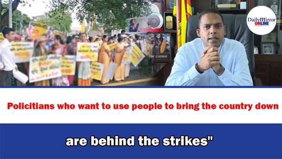 ’’Policitians who want to use people to bring the country down are behind the strikes’’