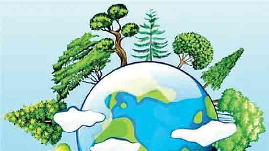 Sri Lanka’s emissions growth outpaces regional peers in 2024