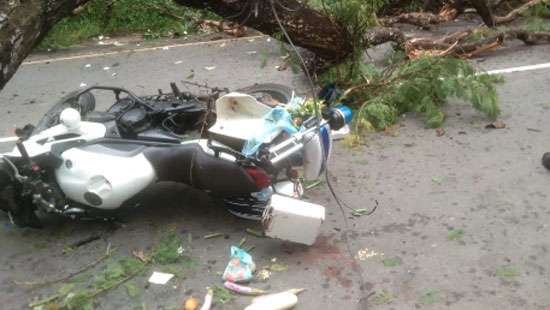 Tree falls on policemen’s motorbike