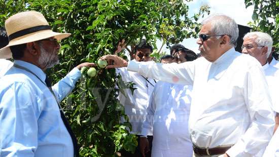 PM’s passion for fruits