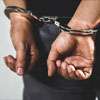 Wife of popular actor arrested at Katunayake Airport