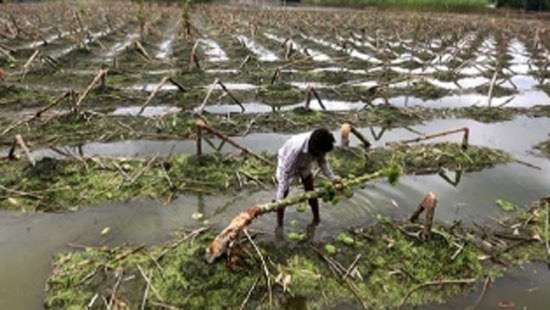 Govt. assures support for farmers affected by bad weather