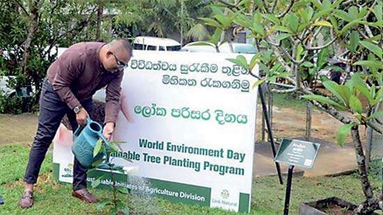 Link Natural continues to champion sustainability for greener Sri Lanka