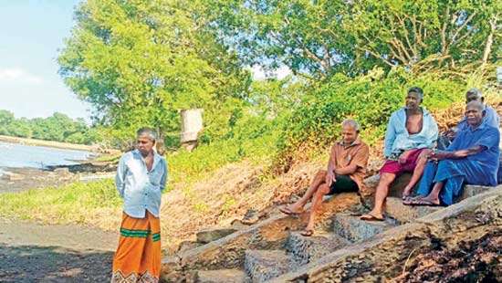 Cultivators in a quandary due to repair of Nochchikulama Tank