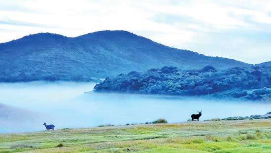 WNPS Monthly Lecture Conserving Horton Plains What the Science Tells Us By Dr Rohan Pethiyagoda