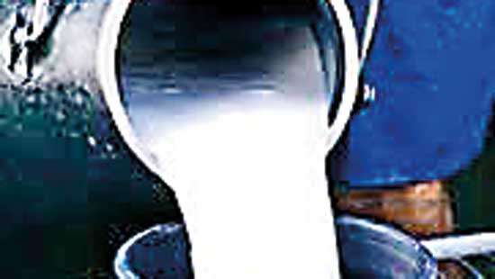 Sri Lanka’s national milk output tumbles in 2019