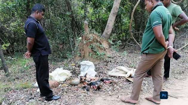 Two arrested for dumping cattle carcasses in Ritigala Reserve