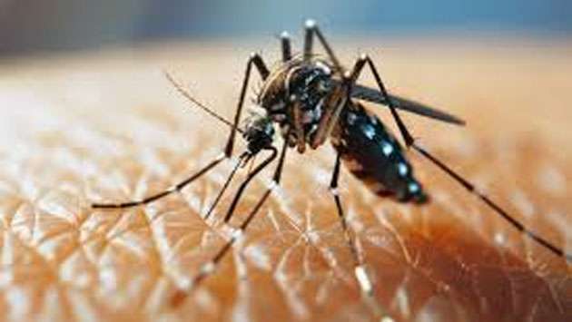 Dengue risk to remain high for next three weeks: Health Minister