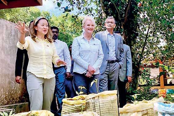 Cindy McCain and US Ambassador Julie Chung visit US funded projects