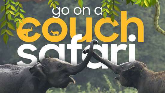 SL Tourism offers ‘Go on a Couch Safari’ experience